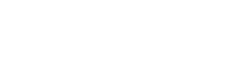 Sinul FNC 로고