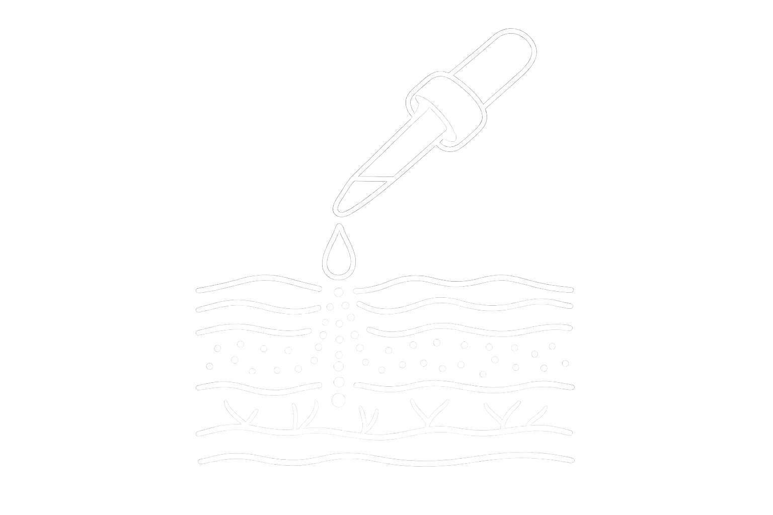 코드 001 항산화 이미지