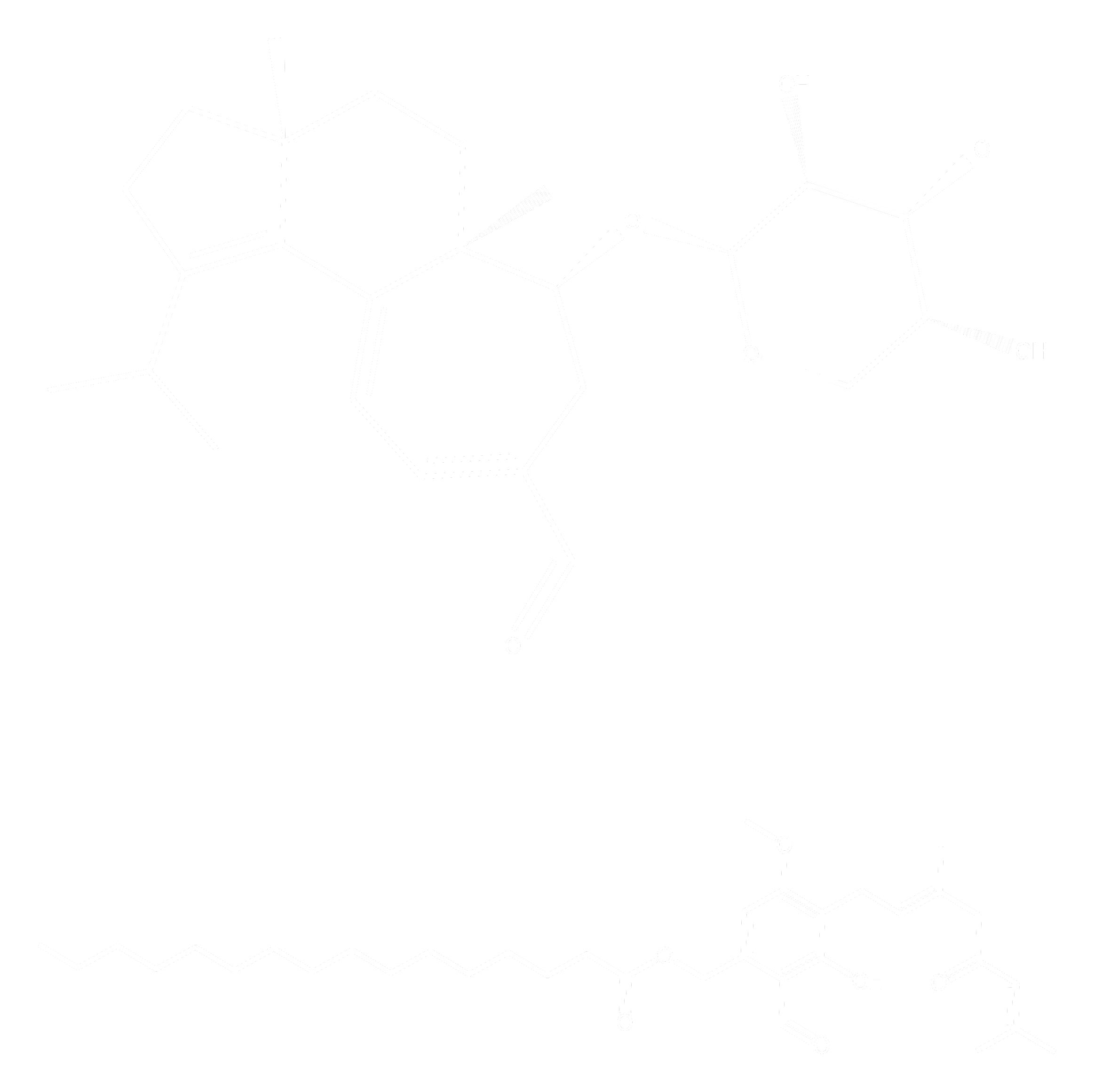 노루궁뎅이 버섯 원료 이미지